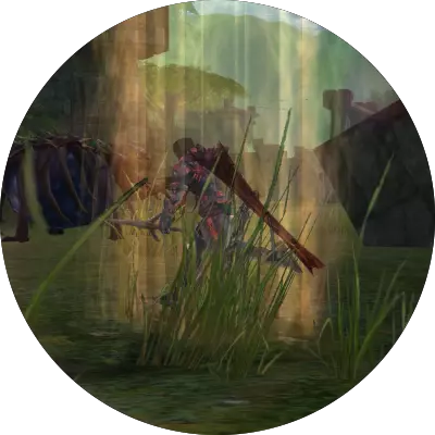 With You Every Step of the Way